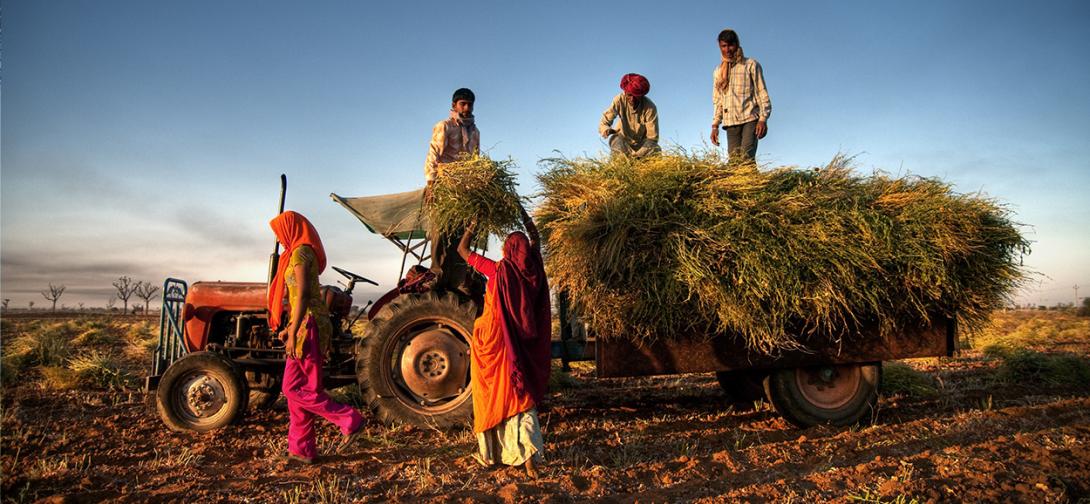 The-Effectiveness-of-Indias-Agricultural-Reforms-for-Farmer-Welfare-and-Agricultural-Productivity