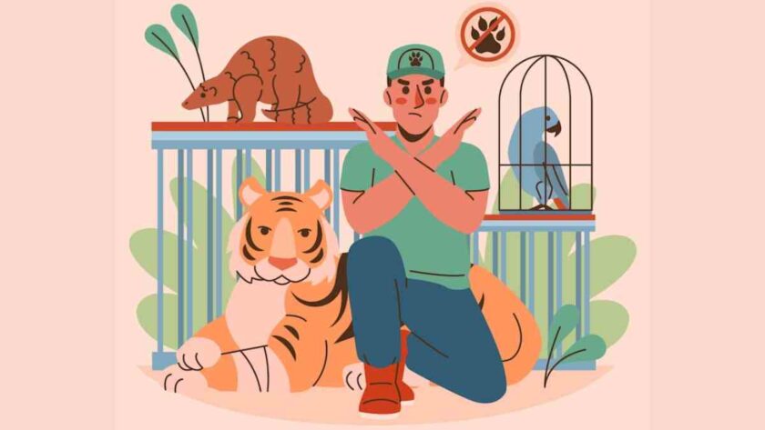 Legal Mechanisms for Wildlife Trafficking Prevention in India