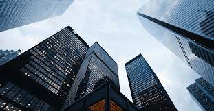 Company-Demography-in-India-Structure-Growth-and-Challenges