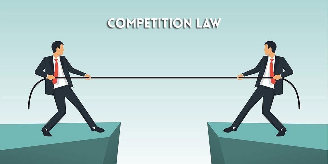 The-Role-of-Competition-Law-in-Promoting-Economic-Development