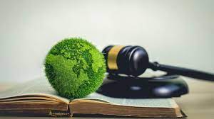 Navigating-Environmental-Regulations-for-Businesses