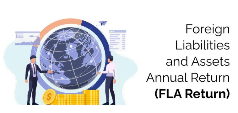 Foreign-Liabilities-And-Assets-Annual-Return-FLA-Return