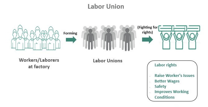 The-Economic-Efficiency-of-Labor-Unions