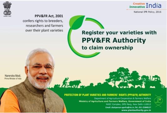 Protection-of-Plant-Varieties-and-Farmers-Rights-Act-2001