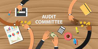 RETHINKING-THE-ROLE-OF-AUDIT-COMMITTEES-IN-FINANCIAL-STATEMENT-APPROVAL-A-CRITICAL-ANALYSIS