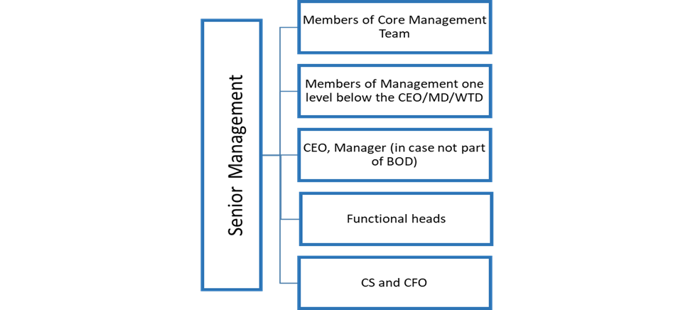 Background-on-Senior-Management-Personnel-SMP-Under-Indian-Corporate-Law