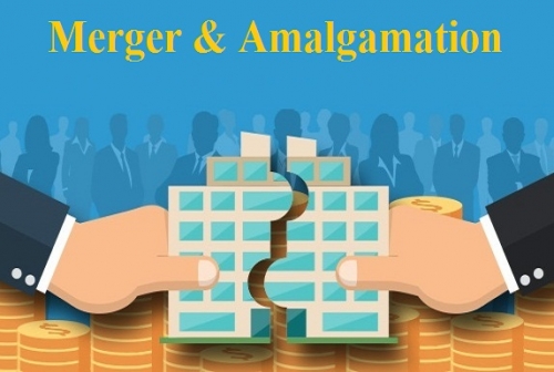 Corporate-Amalgamations-in-India-A-Case-Law-Analysis