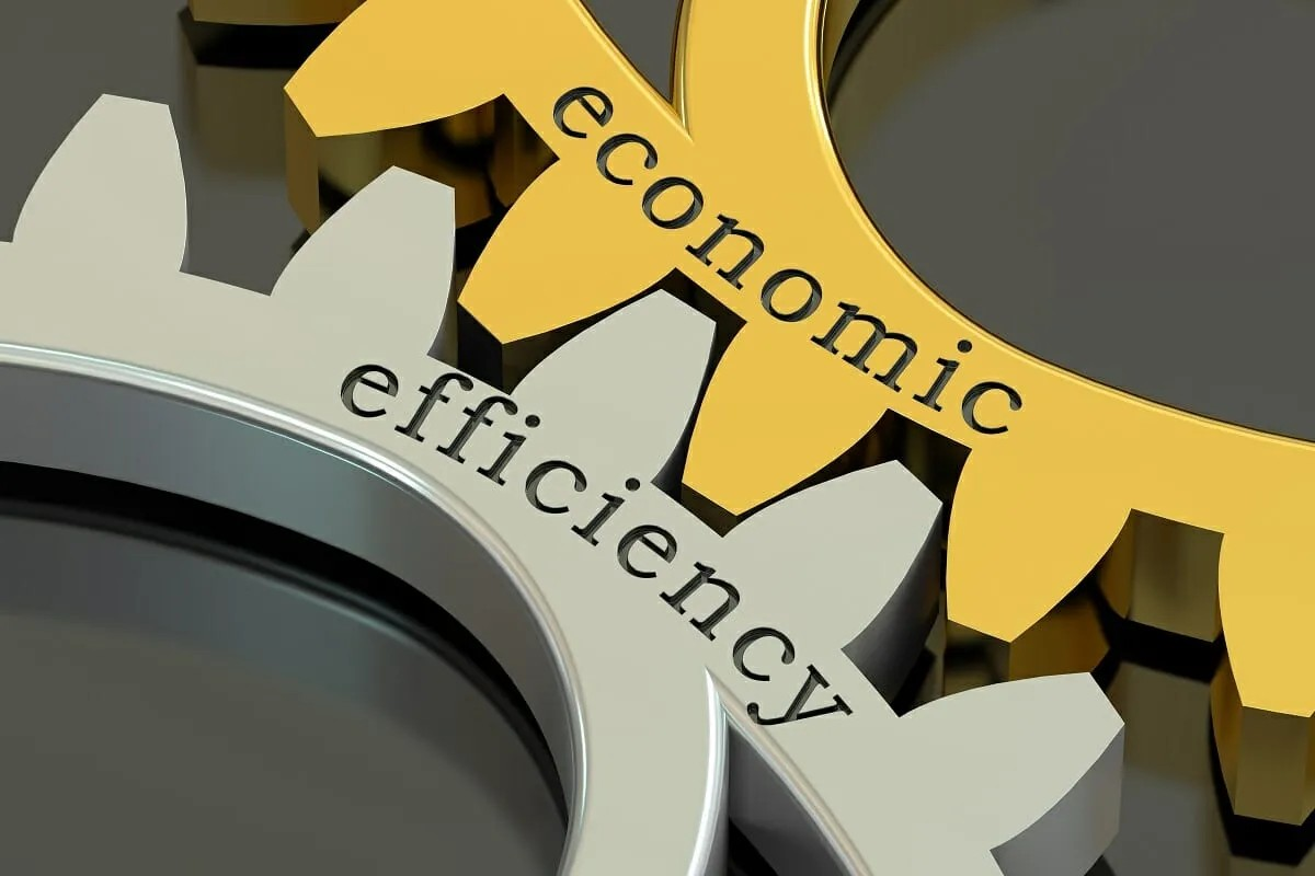 The-Economic-Efficiency-of-Tax-Favored-Savings-Plans